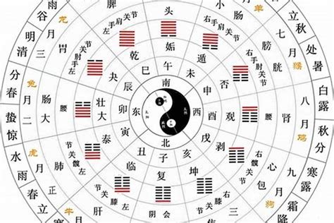 地支五行陰陽|陰陽、五行與天干、地支 (作者：李文傳 老師 / 逢甲大學經濟學。